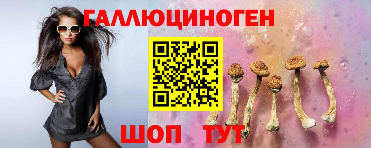 Ханты-Мансийск  Псилоцибиновые грибы GOLDEN TEACHER  Вход с VPN 